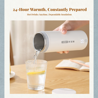 Mini electric water boiler, temp control