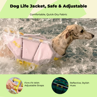 Dog Life Jacket: swim safety