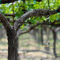 Wrought Steel Avian Swing Portable Metal Frame Bird Swing Easy to Hang Garden Decor for Hummingbirds, Outdoor, Backyard