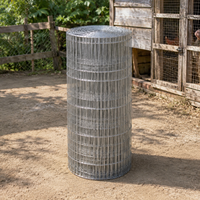 Galvanized Wire Net Fence, 10cm Mesh, 1m Length, Wire Mesh, Animal Enclosure, Garden, For Home Vegetable Garden
