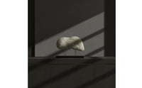 Textured Coral Sculpture Organic Tabletop Sculpture with Base Modern Abstract Statue Decorative for Homeowners, Interior Designers, Living Room, Entryway Console, Bookshelf, Office Reception