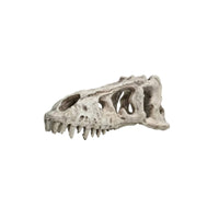 Skull Hideout Weathered Hiding Place Natural-Looking for Terrarium, Reptiles