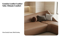 Curved Sectional Sofa Set configurable Design Reception Seating sturdy Construction Commercial Furniture for Business Owners, premium Lounge, Showroom, Office