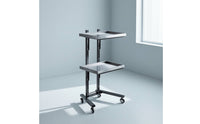 2-Tier Salon Trolley Mobile Beauty Trolley Space-Saving Salon Tray Cart for Hairstylists, Hair Salons