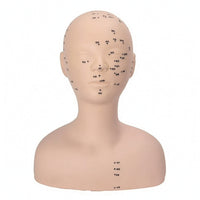 PVC Mannequin Head with Shoulders Soft Acupoint Training Model Mannequin Head with Shoulders Flesh-Toned Realistic
