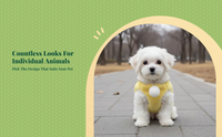 Dog Clothes, Fleece Hoodie, Small Dogs, Warm, Easy Move