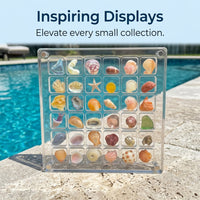 36 Compartment Storage Box, Transparent Organizer, Rock Display Case for Collectors, Beach Souvenir for Seashells