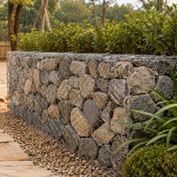 Galvanized PVC Coated Gabion Basket, Steel Gabion Cages for Retaining Walls, High Resistance for Flood Control, Riverbank Protection