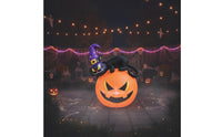 Lighted Black Cat with Witch Hat and Pumpkins Colorful Black Cat with Pumpkin Bright Halloween Decoration Family-Friendly for Garden