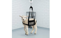 Heavy Duty Nylon Lamb Weighing Sling Adjustable Straps Livestock Scale Sling Strong Buckle Livestock Lifting Harness Breathable Mesh for Farmers, Veterinarians, Farm, Veterinary Medical Facility