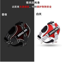 狗狗牵引绳狗狗胸背夜间反光宠物牵引绳透气防爆冲防挣脱宠物园艺