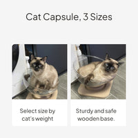 Space Capsule Cat Bed with Acrylic House and Rotating Toy
