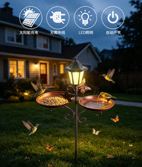 Wrought Iron Bird Feeder and Bird Bath Garden Stake