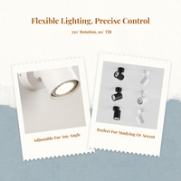 Adjustable LED wall sconce