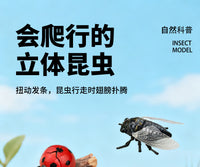 跨境儿童仿真昆虫模型立体益智动物玩具早教认知男孩礼物螳螂发条