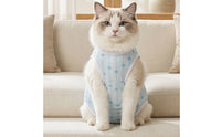 Fitted Female Feline Recovery Suit Blue Post-Surgery Feline Suit Heart Print White Trim