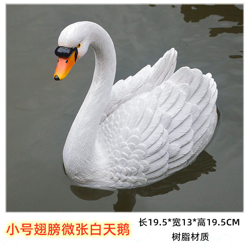 S / White Wings Open