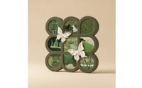 Dimensional Butterfly Tabletop Display Beautiful Butterfly Display Frame Premium Grid Frame with Butterflies Modern for Nightstand