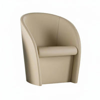 Curved Armchair Nordic Aesthetic Single Sofa Light Luxury Soft Upholstery for Homeowners, Reception Area, Bedroom