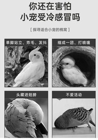 鸟窝鹦鹉窝玄风小太阳保暖棉窝虎皮牡丹新型加厚过冬睡觉窝保温窝