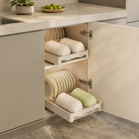 Dish Drying Rack, Cabinet Storage, Extendable, Drawer-Type, Warm White, Fits 10 Plates & 10 Bowls