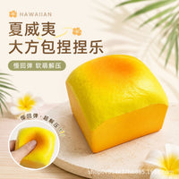 Hawaii Bag Slow Rebound Squishy Toy