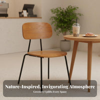 Armless Dining Chair Nordic Design Schoolhouse Chair Easy to Clean