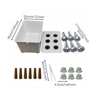 Hydroponic Growing System Easy to Manage Soilless Cultivation Box for Beginners