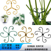 Metal Plant Support Stakes for Vertical Gardens