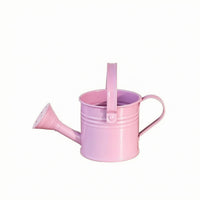 Metal Watering Can Glossy Yard Item Perforated