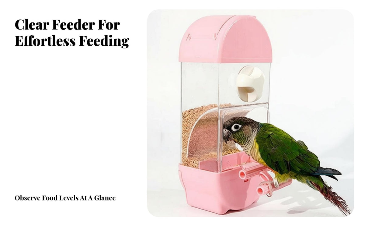 Automatic Bird Feeder Large Capacity Parrot Food Dispenser Husk Separator Automatic Bird Dispenser for Vacation, Travel