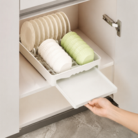 Dish Drying Rack, Cabinet Storage, Extendable, Drawer-Type, Warm White, Fits 10 Plates & 10 Bowls