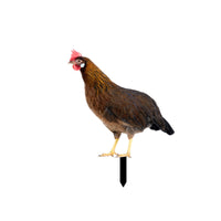 Chicken Garden Stake Outdoor Chicken Yard Art Cute for Flower Bed