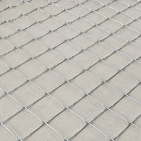 Wire Mesh Animal-proof Fence Wire Mesh Galvanized Low Carbon Steel Slope Reinforcement Construction Site Animal Enclosure Customizable