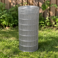 Galvanized Wire Net Fence, 10cm Mesh, 1m Length, Wire Mesh, Animal Enclosure, Garden, For Home Vegetable Garden