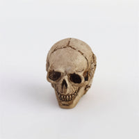 20 Pieces Miniature Skulls Textured Skull Ornaments Resin Skulls Tiny Tabletop Ornaments Small for Crafters, Halloween
