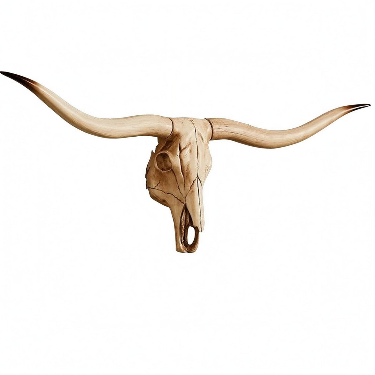 Animal Heads Wall Decor Skeletal Resin Creature Ornament Realistic Detail