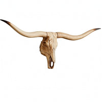 Animal Heads Wall Decor Skeletal Resin Creature Ornament Realistic Detail