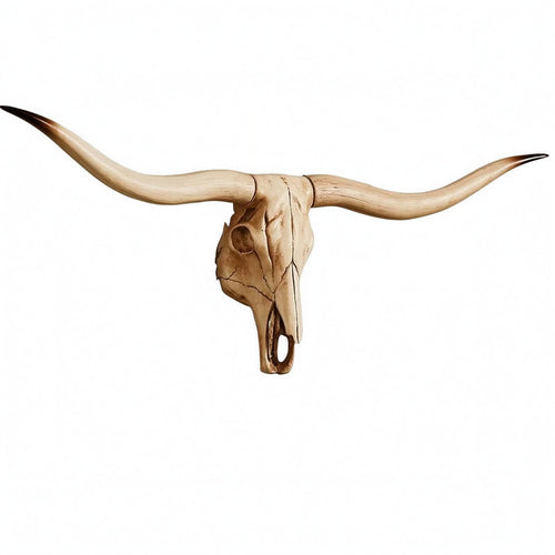 Animal Heads Wall Decor Skeletal Resin Creature Ornament Realistic Detail