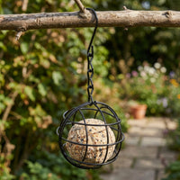 Decorative Hanging Wire Cage Metal Wire Cage Holder Rustic Birdcage Holder with Chain Versatile for Entryway