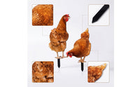 2 Pieces Acrylic Chicken Silhouettes Decorative Silhouette Statue Weatherproof