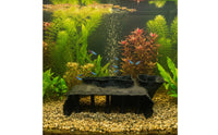 Roman Column Aquatic Tunnel Freshwater and Saltwater Safe Natural Aquatic