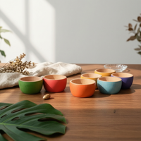6 Pieces Wooden Rainbow Bowl Set Natural Wood Interior Painted Rainbow Bowls