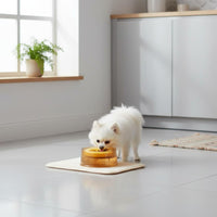 Floating Plate Water Bowl Non-Slip Base for Feeding, Small Dogs