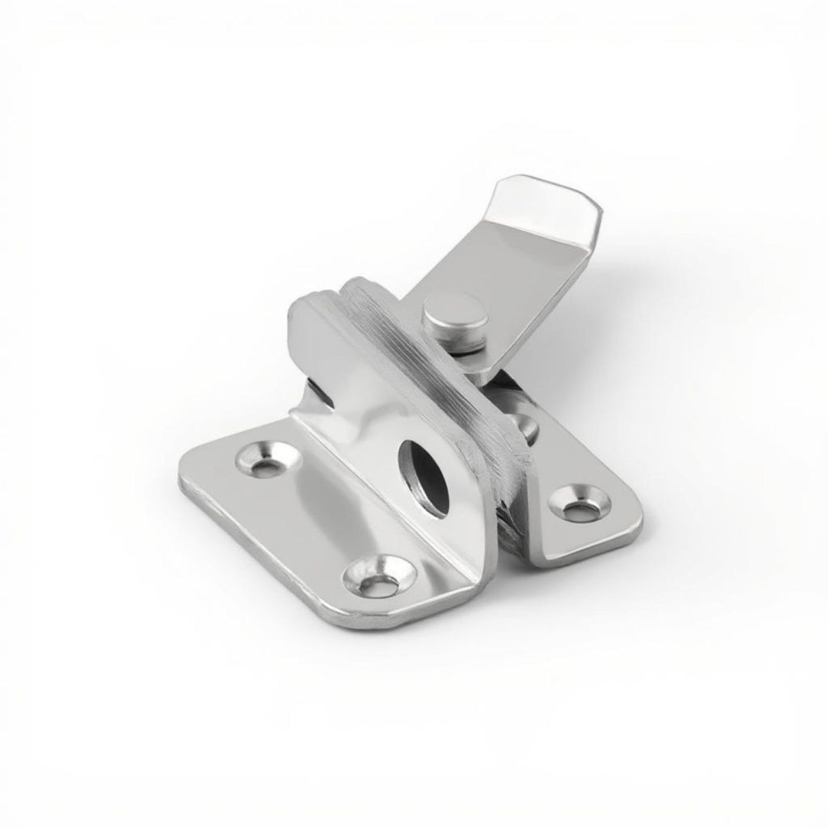 Stainless steel security latch lock