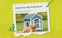 Waterproof insulated wood dog house