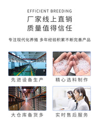 猪用水位控制器养猪用水位计猪用水位器猪用饮水器养猪场自动喂水