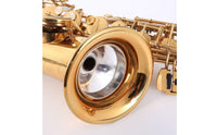 Sound-Reducing Alto Saxophone Practice Mute Brushed Silver Alto Saxophone Mute Compact Instrument Accessory Easy to Use for Students