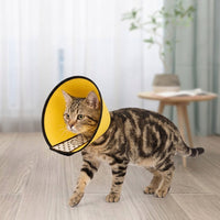 Post Surgery Cone for Pet Recovery, Transparent Anti-Bite Guard with Colored Edge, Snap Button Cone Recovery to Prevent Biting for Dogs and Cats