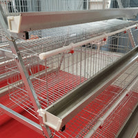 Tiered chicken cage, galvanized steel cage for laying hens, multi-level poultry cage for egg production, hygienic chicken keeping